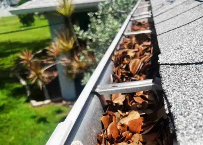 Boise gutter cleaning home page